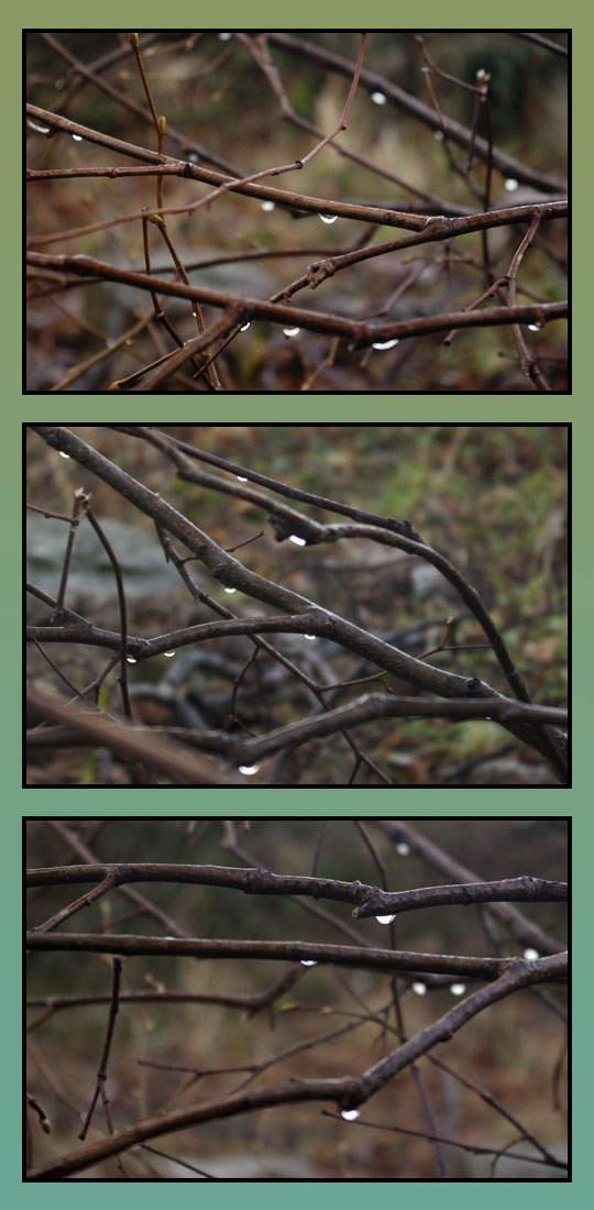 050310raindrops.jpg