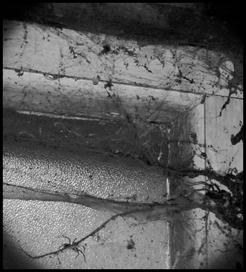 7510cobweb.jpg